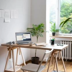 Trabalhar Em Home Office Faca Um Curso E Se Capacite Para O Mercado